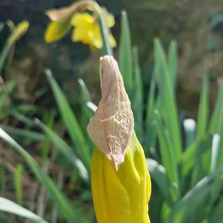 بيت للعطل Chez Lilian & Isa بوزاوغيس