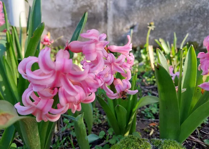 Chez Lilian & Isa Pouzauges