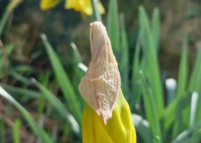 Semesterbostad Chez Lilian & Isa Pouzauges